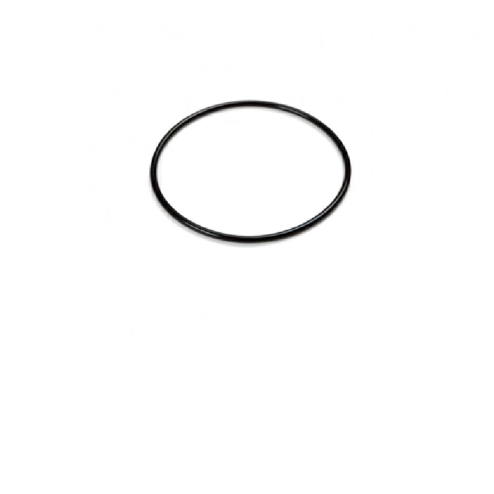 O-Ring Titan Elektrode, Ř 68 x 3 mm