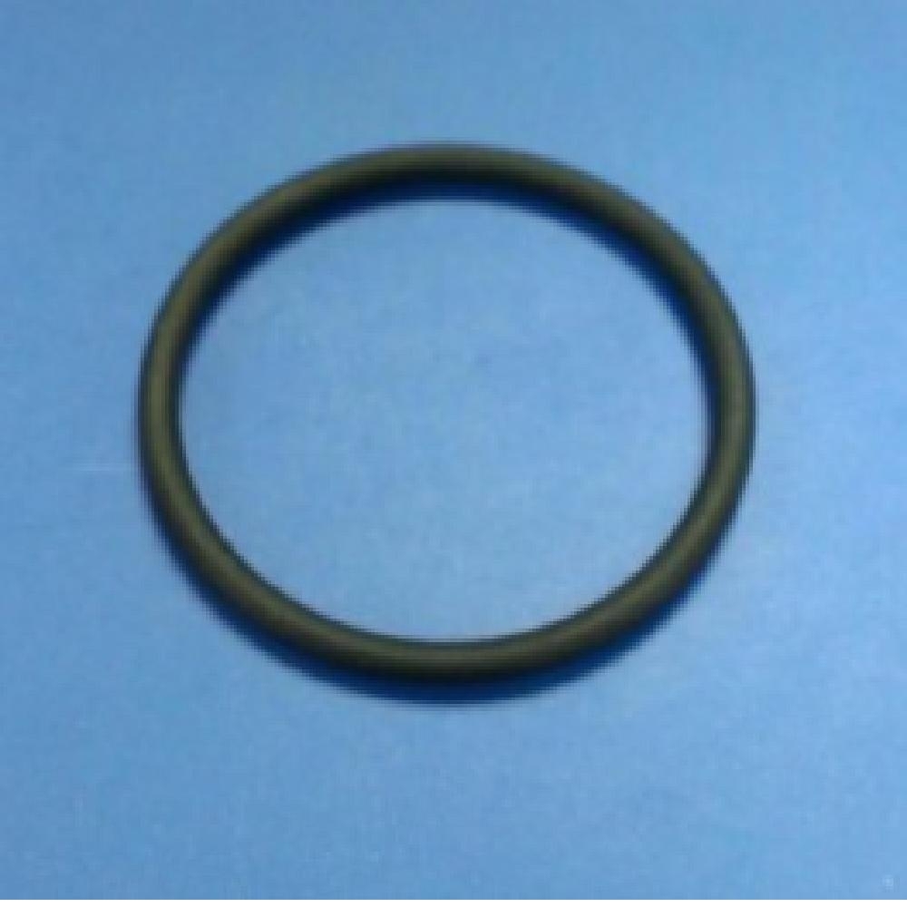 O-Ring für Salzwassersystem 54605/54606